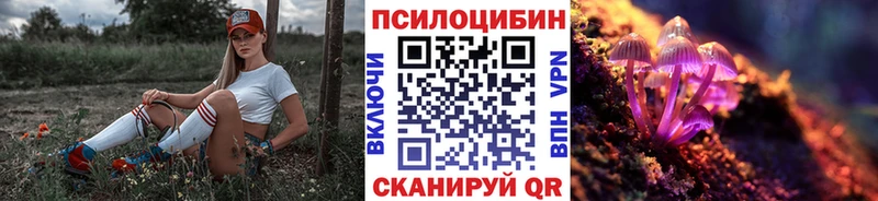 Галлюциногенные грибы Cubensis  дарк нет телеграм  Белебей 